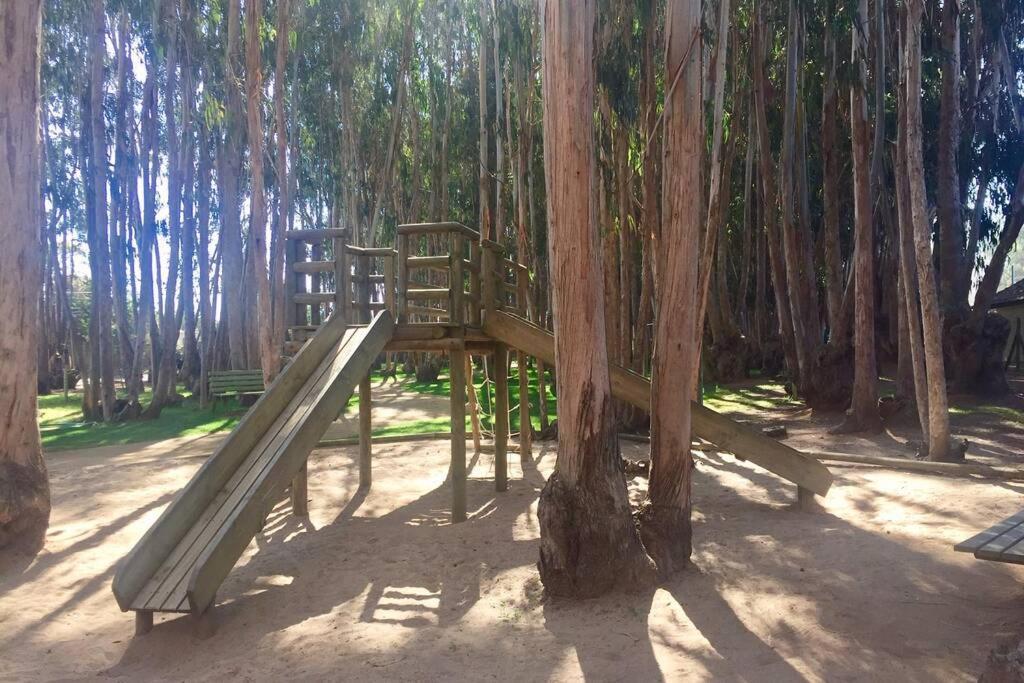Hermoso Departamento Norte Algarrobo