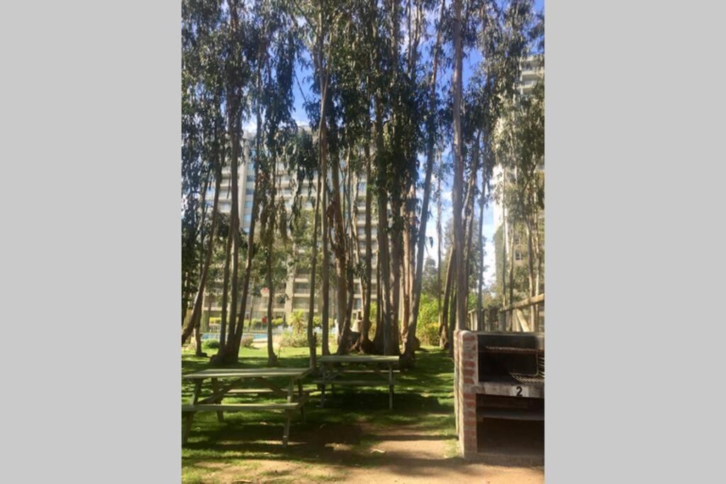 Hermoso Departamento Norte