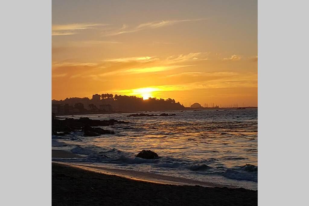 Hermoso Departamento Norte Apartamento Algarrobo