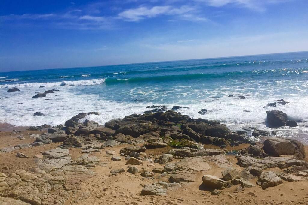 Hermoso Departamento Norte * Algarrobo